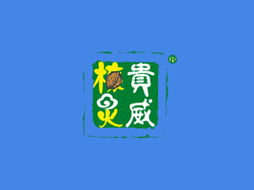 吉林省核靈食品代理商江女士 深耕吉林市場，共拓健康食品新篇章